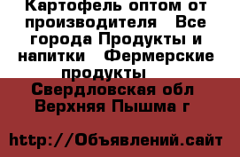 Картофель оптом от производителя - Все города Продукты и напитки » Фермерские продукты   . Свердловская обл.,Верхняя Пышма г.